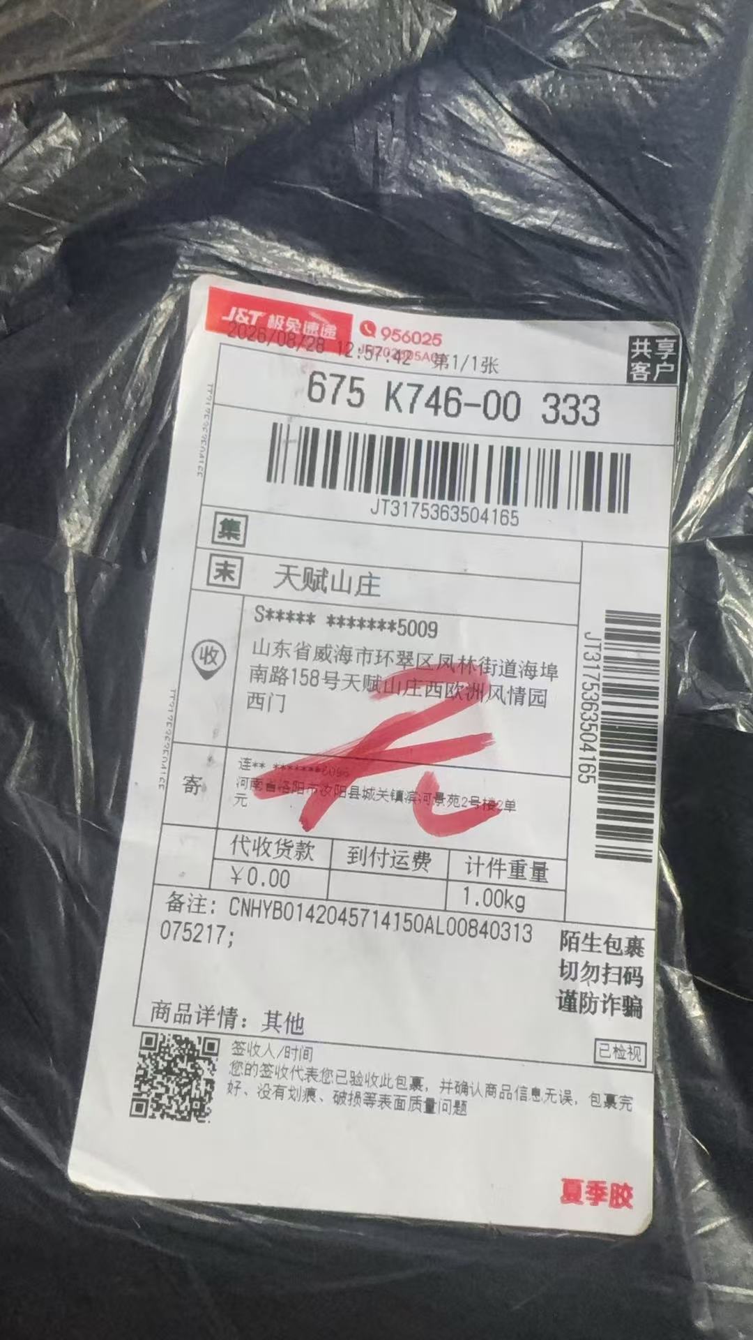 jt3175363504165